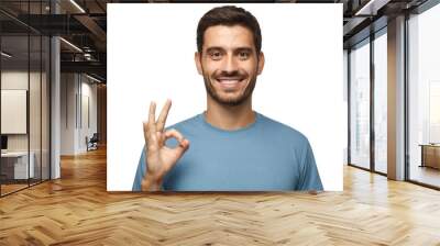 Young smiling man having happy look, gesturing, showing OK sign or showing okay gesture with his fingers Wall mural