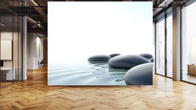 Zen water Wall mural