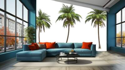 Coconut palm tree on transparency background . Wall mural