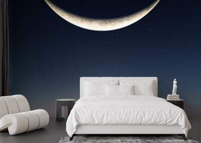 Smile Moon Sunrise Wall mural