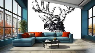 deer head silhouette Wall mural