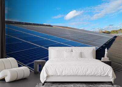 dirty and cleaned solar panels Wall mural