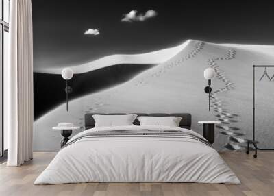 Dunes Wall mural