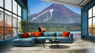 Kamchatka Bear Ruling the landscape Wall mural