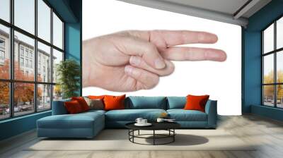 gesturing two Wall mural