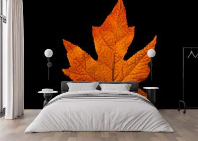 red leaf Wall mural