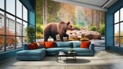 brown bear crossing a stream Wall mural