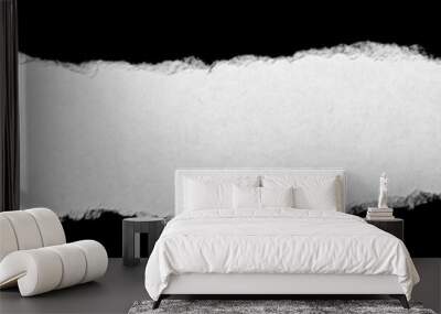 torn paper edge 4 Wall mural