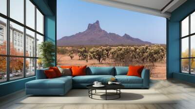 Picacho Peak on horizon with desert flora in foreground Wall mural