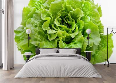 Vibrant Green Romaine Lettuce Head - Fresh, Healthy Salad Ingredient for Culinary and Lifestyle Compositions - Isolated on a Transparent Background Wall mural