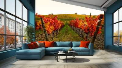 Beautiful rows of colored grapevines during fall season in Chianti Region near Florence. Tuscany. Italy Wall mural