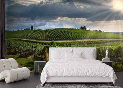 Green vineyards in tuscan countryside at sunset with cloudy sky in Italy. Wall mural