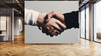 handshake between two people Wall mural