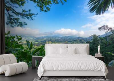 Early morning View of a Coffee plantation near Manizales in the Coffee Triangle of Colombia. Wall mural