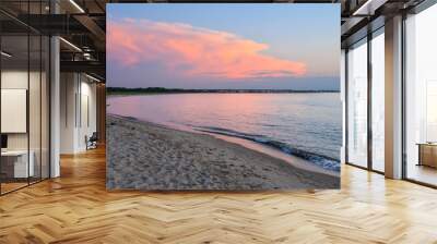 Pink sunset view from point at Cape Henlopen State Park looking toward town in distance Wall mural