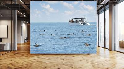 dolphin watching tour on mediterranean sea Wall mural