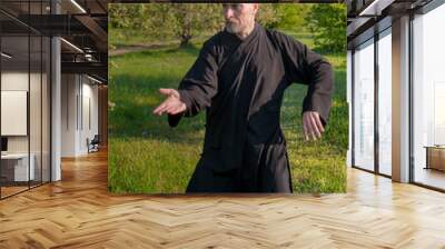 a martial arts master practiing tai Chi in a wild Apple garden Wall mural