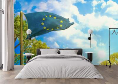 flag of European Union at sunny day, coming spring symbol - nature 3D illustration Wall mural