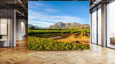 Stellenbosch Vineyards Wall mural