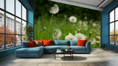 DANDELIONS GROWING IN LONG GRASS Wall mural