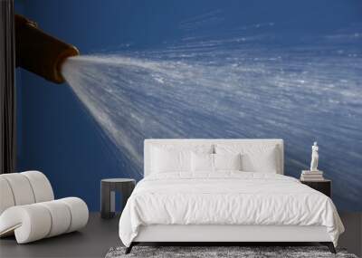 JET OF WATER SPRAYING FROM GARDEN HOSE PIPE IN SUMMER SUN Wall mural