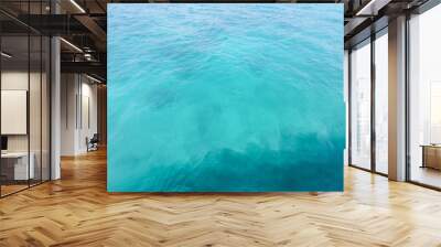 Clear, blue, tropical water with beach in background Wall mural