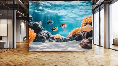 Life under the sea beautiful fish swimming on coral reefs and rocks. yellow fish and beautiful striped fish swim Wall mural