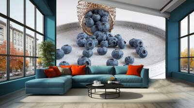 Blueberries in a glass bowl scattered on a gray plate. Close Up view. Wall mural