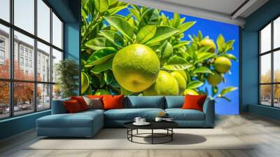 Fresh green pomelo leaves against a bright blue sky showcasing nature's vibrant beauty in detail Wall mural