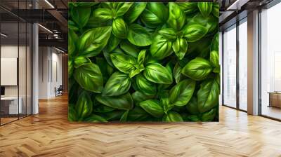 Basil leaves texture background Wall mural