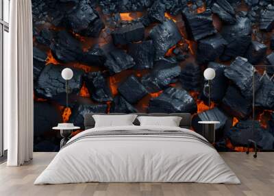 BBQ grill coal texture background Wall mural