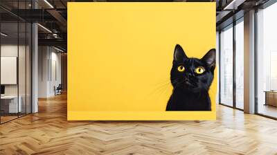 black cat on yellow background Wall mural