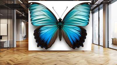 Blue Morpho Butterfly Wings Isolated on White Background Wall mural