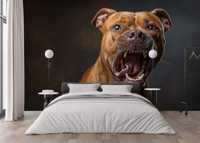 Brown Pit Bull Dog Barks With Open Mouth and Exposed Teeth Wall mural