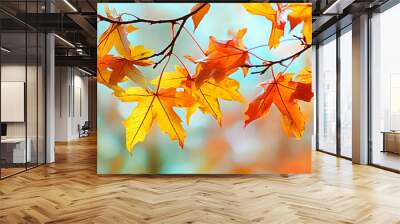 close-up of a beautiful maple leaves branch in bright autumn colors on blurred background, floral nature concept for fall season holidays Wall mural