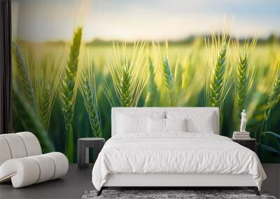 close up of green wheat field. plantations waiting for harvest, depth of field is low. Wall mural