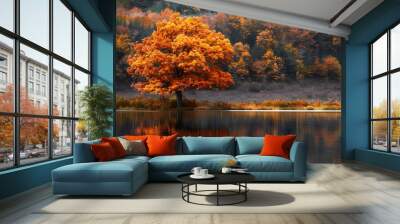 Colorful foliage tree in calm lake water Wall mural