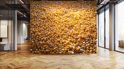 Corn grain after harvest on the floor. Wall mural