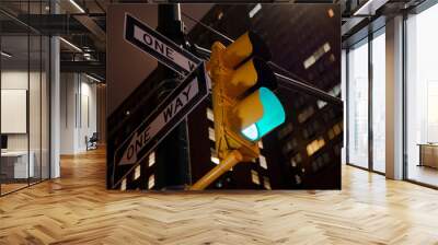 Traffic Light Shows Green Light in New York at Night Wall mural