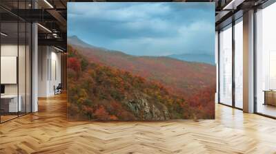 Forested mountains in autumn, colorful and gorgeous forest, stock photo Wall mural