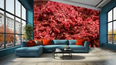 Fresh burger beef with greens and spices  Wall mural