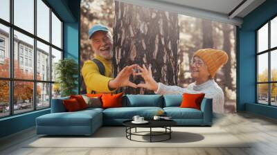 Head shot portrait close up of cute couple of old seniors middle age people making heart shape around big tree loving and taking care of nature concept lifestyle. Two pensioners persons enjoying  Wall mural