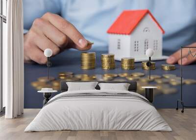 man hand coins with house model Wall mural