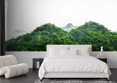 mountain range with lush green trees isolate on white background Wall mural