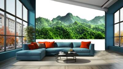 mountain range with lush green trees isolate on white background Wall mural