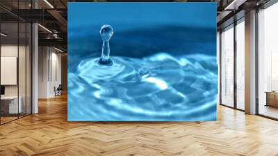 Natures Pure Blue Water Drop Wall mural