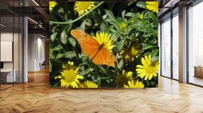 Orange butterfly eating from a yellow flower Wall mural