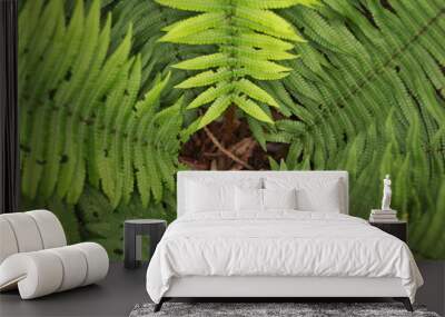 plant Wall mural