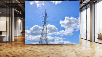 Power line support with cables for transmission of electricity. High voltage network tower with cable wire at the distribution station. energy industry, energy saving Wall mural