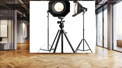 professional lighting equipment with tripod isolated on white. photo studio tool isolated on white background, studio photography, png Wall mural